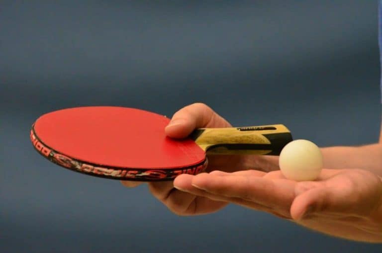 Comment fonctionne le classement du pingpong ? Jardiniers.info